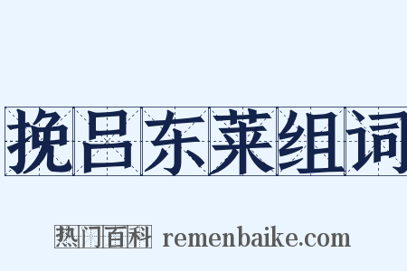 挽吕东莱组词是什么意思的图片